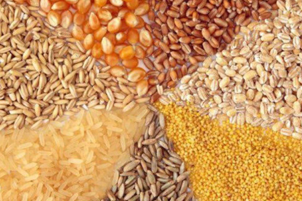 درخواست واردکنندگان نهاده‌های دامی برای رفع موانع واردات