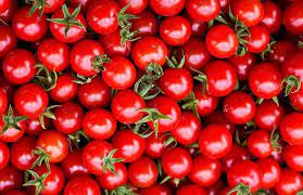 گوجه فرنگی سرشار از ویتامین سی و لیکوپن است. این میوه امروزه به روش‌های مختلفی، به‌طور خام یا به‌عنوان یکی از مواد لازم برای تهیهٔ غذا، انواع سس و نوشیدنی مصرف می‌شود و بخش مهمی از رژیم غذایی مردم بسیاری از کشورها را تشکیل می‌دهد. کشت و پرورش این گیاه به‌طور کلی، مساحتی حدود سه میلیون هکتار را به خود اختصاص داده‌است، که نزدیک یک‌سوم کل مساحت مختص به کشت تره‌بار در جهان است.با وجود این که گوجه فرنگی در علم گیاه‌شناسی یک میوه تلقی می‌شود