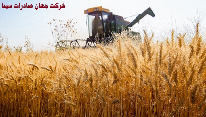 محصولات باغی و زراعی 