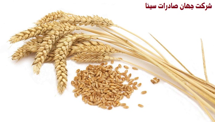 غلات 