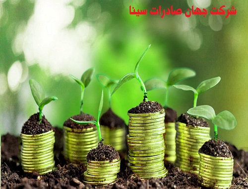 شرکت جهان صادرات سینا 